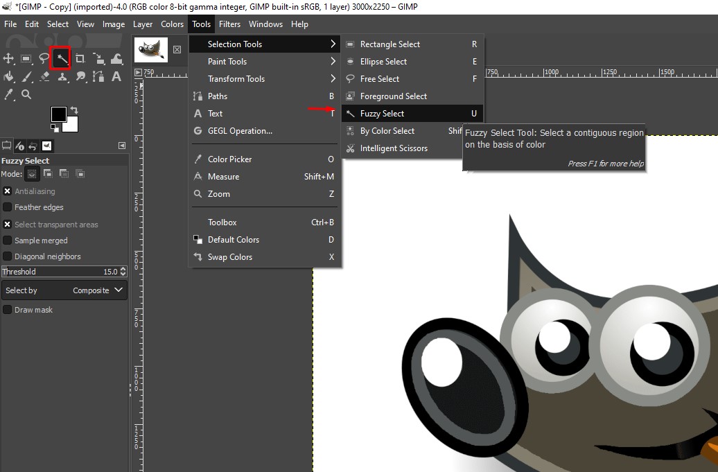 Fuzzy Select Tool